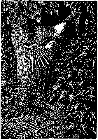 image 15k