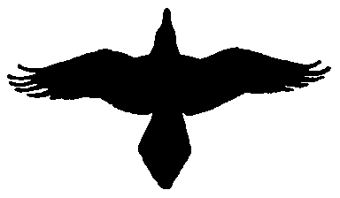 image 1k