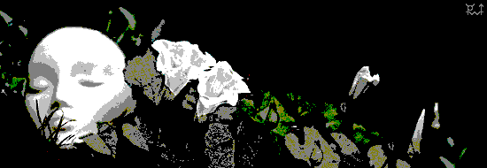 Bound among Calystegia Sepium