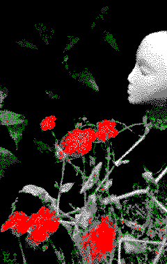 Face, unknown red flowers